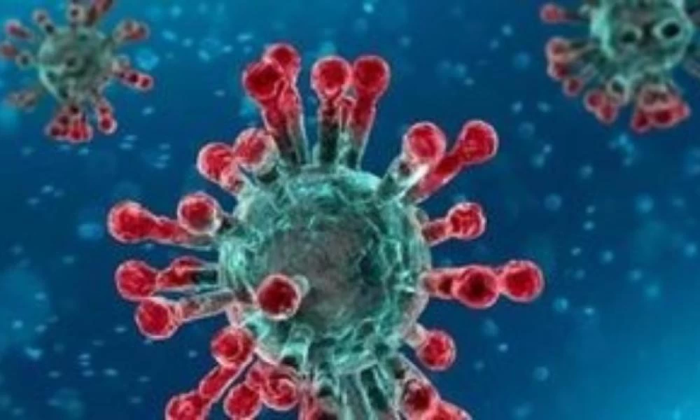 Στη Μαλαισία εντοπίστηκαν μεταλλάξεις του κορονοϊού πολύ πιο μολυσματικές και θανατηφόρες - Δεν αναγνωρίζει τα νέα στελέχη ο ΠΟΥ